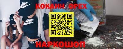 гашик Кинель