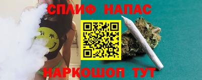 трава Кингисепп