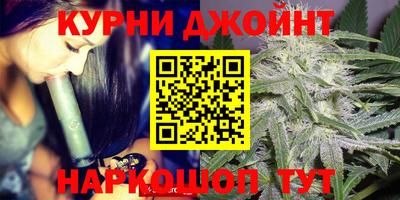 трава Кингисепп