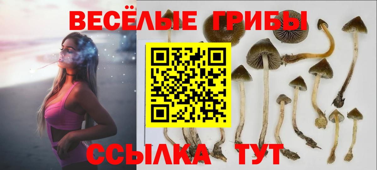 Псилоцибиновые грибы Magic Shrooms  Вход с VPN  Ханты-Мансийск  где купить наркотик  Галлюциногенные грибы Psilocybe 